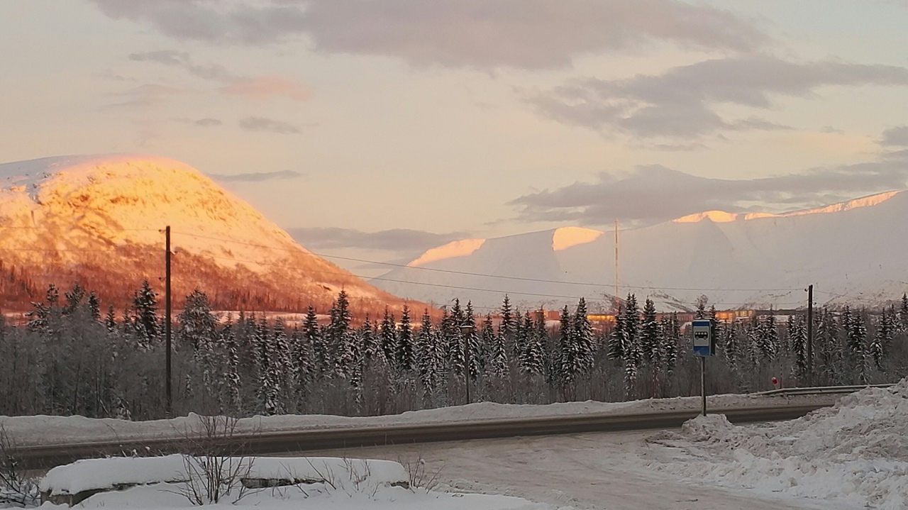 Фотогалерея